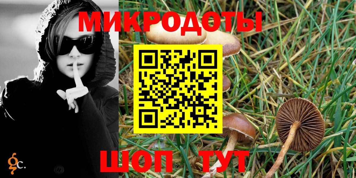 Псилоцибиновые грибы Psilocybine cubensis Новороссийск